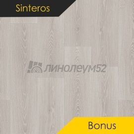 Дизайн - Sinteros BONUS - LAUDER 3