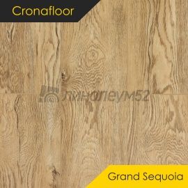 CRONAFLOOR - 4V GRAND SEQUOIA / 1200*180*5.0 - Cronafloor Кварцвинил - 4V GRAND SEQUOIA / ДУБ ЗОЛОТИСТЫЙ