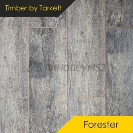 Дизайн - Timber Ламинат 10/33 4V - FORESTER / ДУБ АЛЬГЕРО 5200