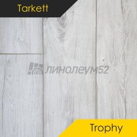 Дизайн - Tarkett Ламинат 8/33 4V - TROPHY / БАРСЕЛОНА 119283