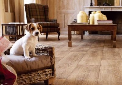 Бытовой Линолеум - SINTEROS Линолеум - DRIVE / Sinteros