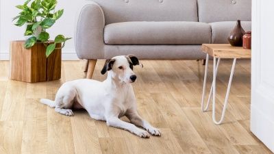 Бытовой Линолеум - TARKETT / GT Линолеум - PRAKTIKA / Tarkett