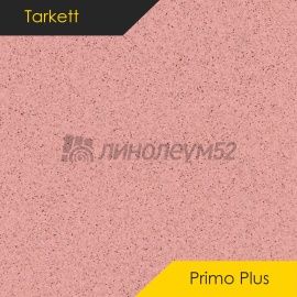 Дизайн - Tarkett PRIMO PLUS - NUMBER 307
