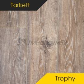 Дизайн - Tarkett Ламинат 8/33 4V - TROPHY / ДАККАР 0537724