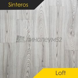 Дизайн - Sinteros LOFT - SOFTWOOD 1