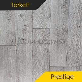 Дизайн - Tarkett PRESTIGE - MONS 2