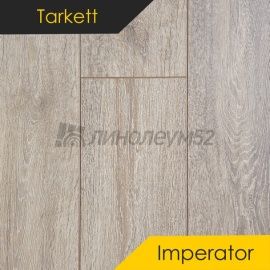 Дизайн - Tarkett Ламинат 8/33 4V - IMPERATOR / CLAUDIUS 504550001