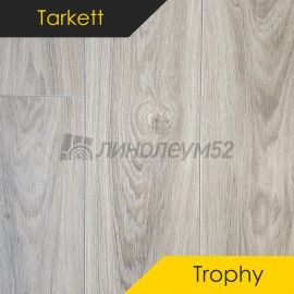 Дизайн - Tarkett Ламинат 8/33 4V - TROPHY / ГРАНАДА 119284