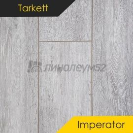 Дизайн - Tarkett Ламинат 8/33 4V - IMPERATOR / MARCUS AURELIUS 504550003