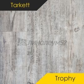 Дизайн - Tarkett Ламинат 8/33 4V - TROPHY / АГАДЕС 0537707