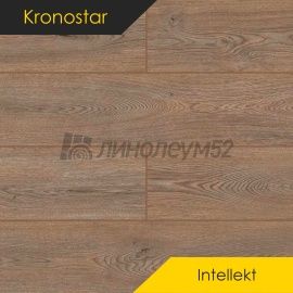 Дизайн - Kronostar Ламинат 12/33 - INTELLEKT / ДУБ ГЕРБЕРТ