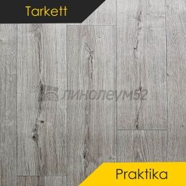 Дизайн - Tarkett (NB) PRAKTIKA - BRUNO 1
