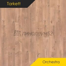 Дизайн - Tarkett Ламинат 12/33 4V - ORCHESTRA / ВИОЛА 504558003