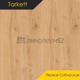 Дизайн - Taiga by Tarkett Ламинат 10/32 4V - ПЕРВАЯ СИБИРСКАЯ / OAK SAYAN 504466009