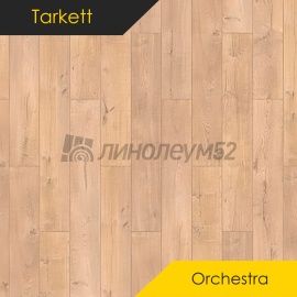 Дизайн - Tarkett Ламинат 12/33 4V - ORCHESTRA / КЛАРНЕТ 504558001
