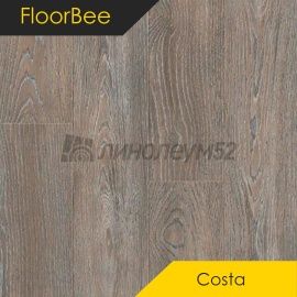 Дизайн - Floor Bee (Пчела на полу) Ламинат 8/33 4V - КОСТА / КОСТА ДЕЛЬ НОРТЕ 2041