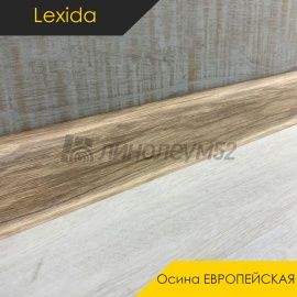 Плинтус - L55 / Lexida - Lexida Плинтус L55 - Осина ЕВРОПЕЙСКАЯ 522 / ПФХ