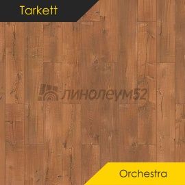 Дизайн - Tarkett Ламинат 12/33 4V - ORCHESTRA / БАСУН 504558000