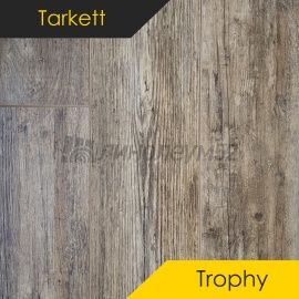Дизайн - Tarkett Ламинат 8/33 4V - TROPHY / КАИР 119287
