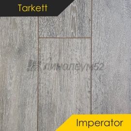 Дизайн - Tarkett Ламинат 8/33 4V - IMPERATOR / HADRIAN 504550000