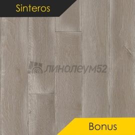 Дизайн - Sinteros BONUS - REPIN 3