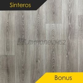 Дизайн - Sinteros BONUS - LAUDER 4