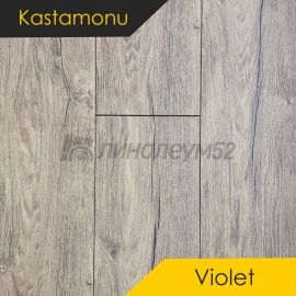 Дизайн - Kastamonu Ламинат 10/33 4V - VIOLET / ДУБ СОЮЗ 1122