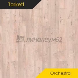 Дизайн - Tarkett Ламинат 12/33 4V - ORCHESTRA / ТИМПАН 504558005