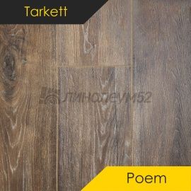 Дизайн - Tarkett Ламинат 10/33 4V - POEM / ГОМЕР 504462101