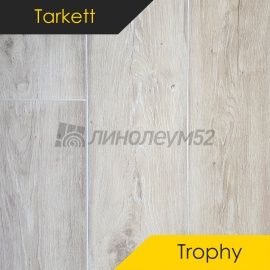 Дизайн - Tarkett Ламинат 8/33 4V - TROPHY / НЕОМ 159992