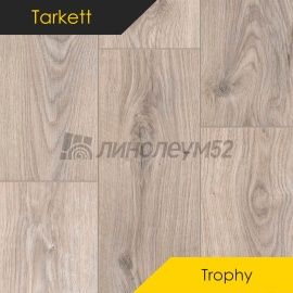 Дизайн - Tarkett Ламинат 8/33 4V - TROPHY / САХАРА 504498012