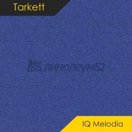 Дизайн - Tarkett MELODIA - IQ 2638