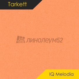 Дизайн - Tarkett MELODIA - IQ 2635
