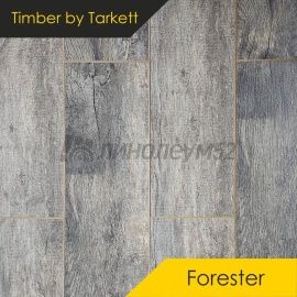 Дизайн - Timber (Тимбер) Ламинат 10/33 4V - FORESTER / ДУБ АЛЬГЕРО